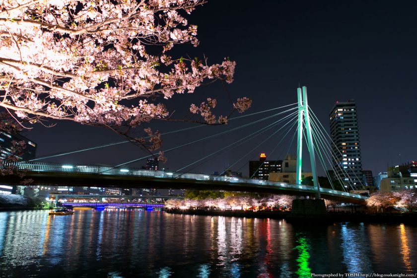 夜桜と川崎橋。写真:堀寿伸 https://blog.osakanight.com/